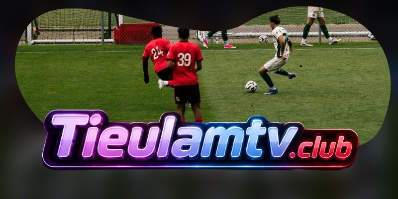 Gợi ý chốt kèo tổng hợp Benfica vs St. Gallen ngày 31/07